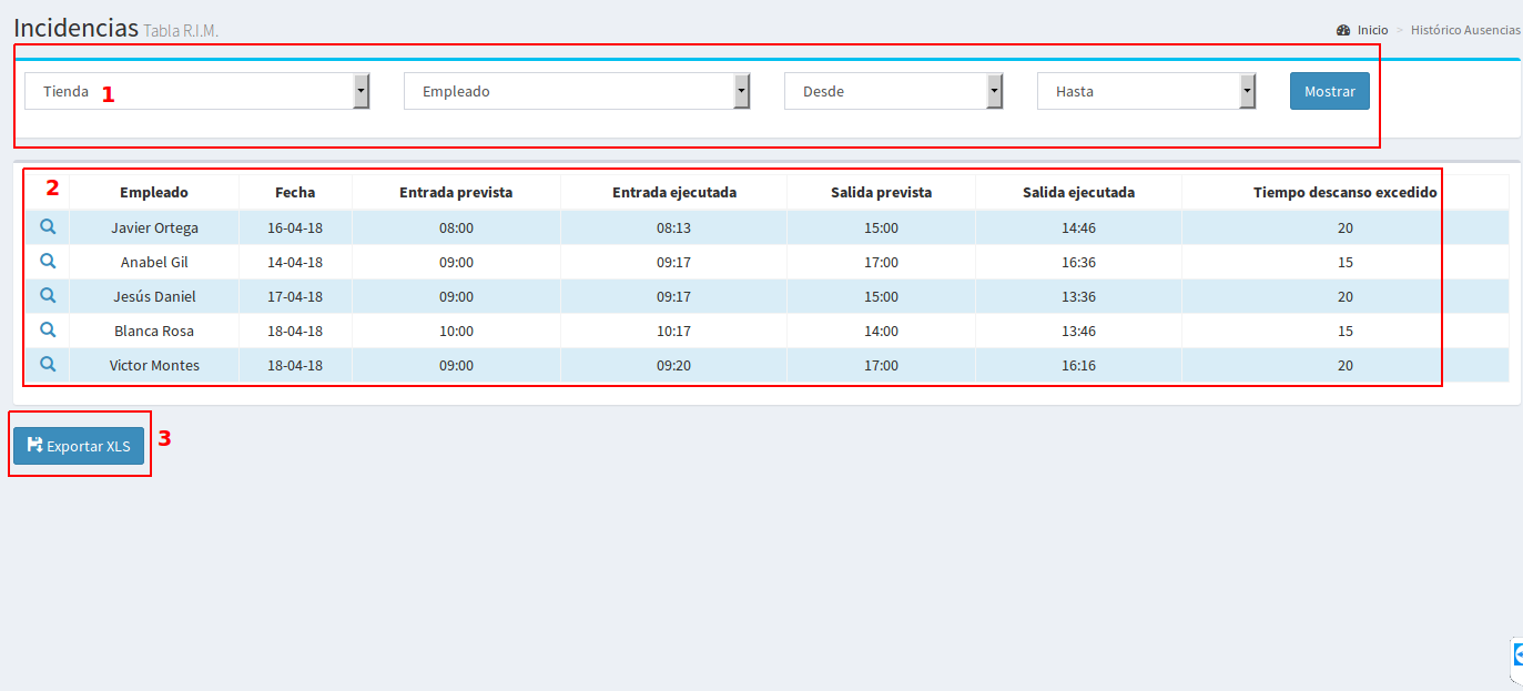 Historial Incidencias RIM2